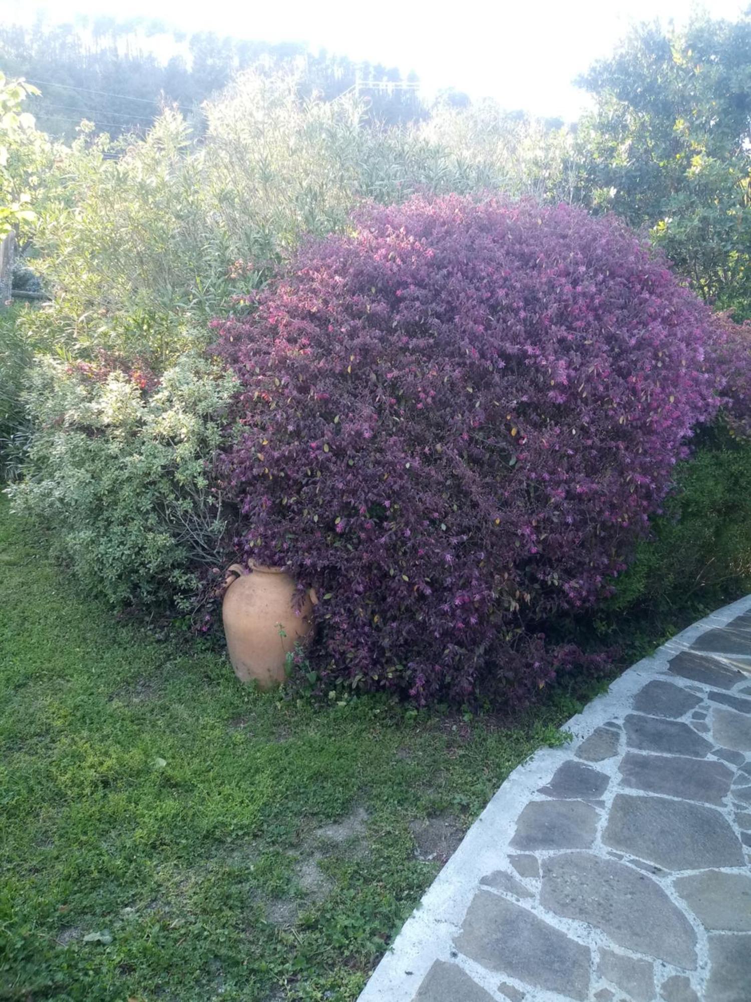 La Torretta Villa Sesta Godano Eksteriør billede